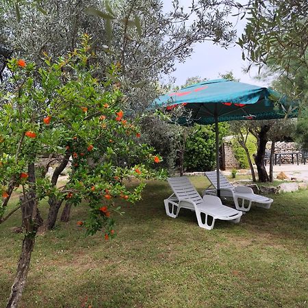 Ferienwohnung Marti'S House In The Olive Grove Fažana Exterior foto