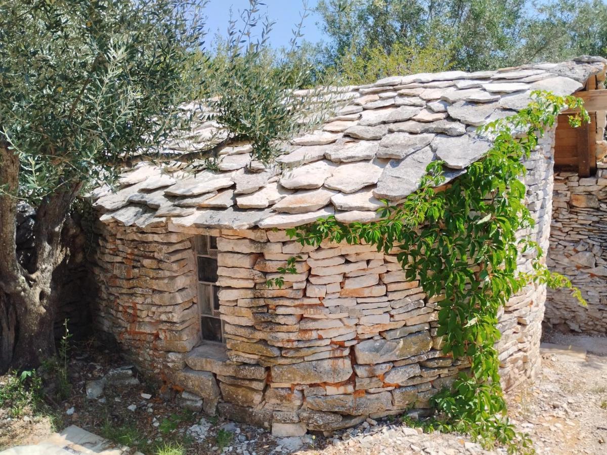 Ferienwohnung Marti'S House In The Olive Grove Fažana Exterior foto