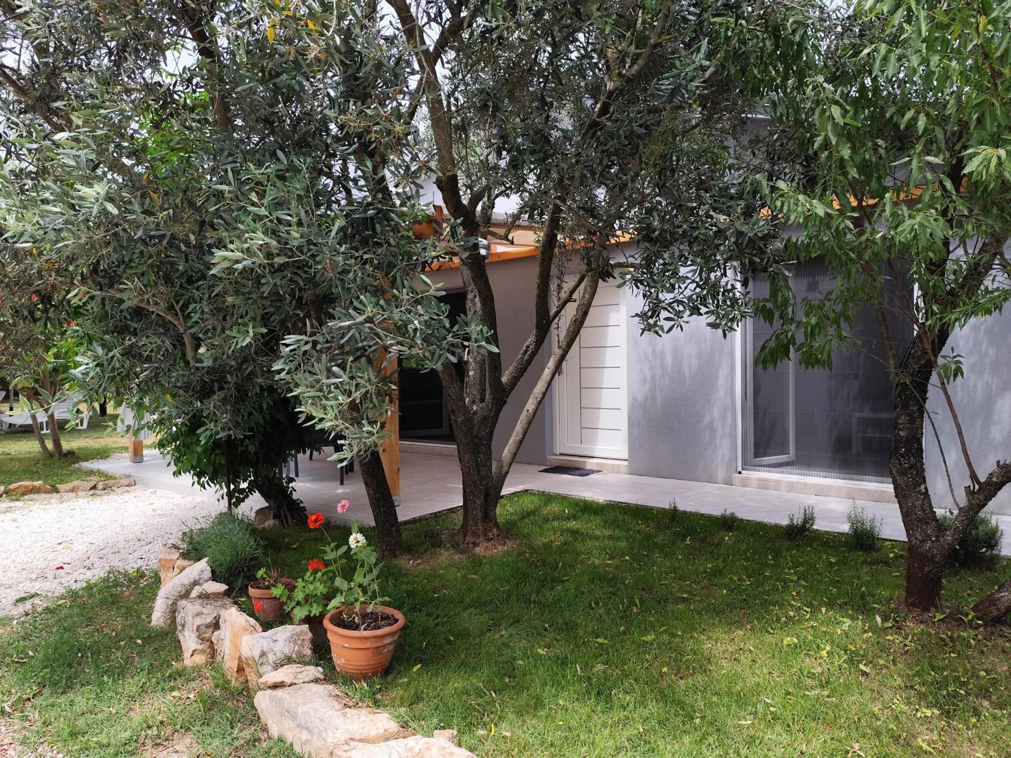 Ferienwohnung Marti'S House In The Olive Grove Fažana Exterior foto