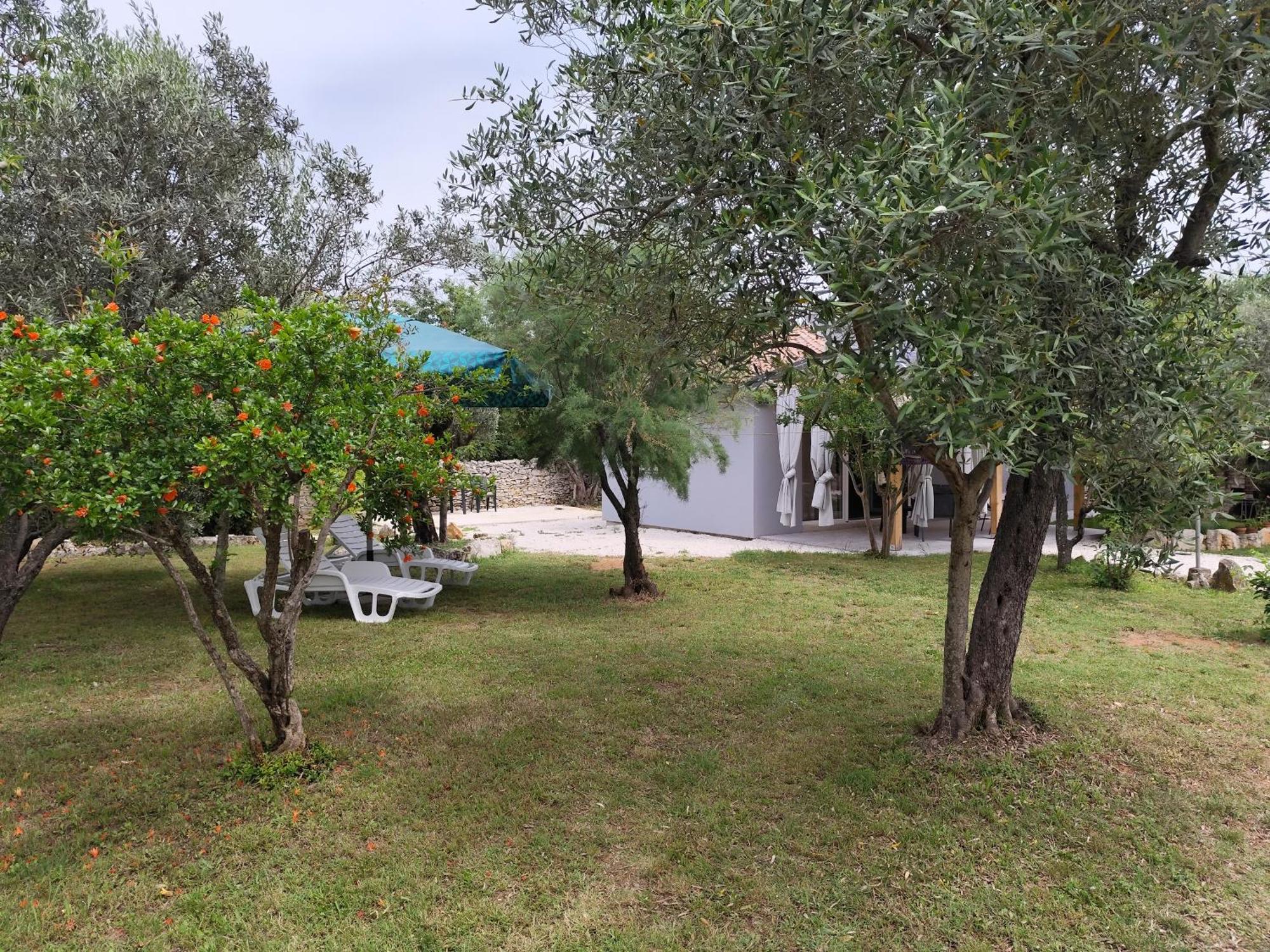 Ferienwohnung Marti'S House In The Olive Grove Fažana Exterior foto